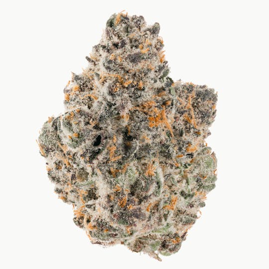 Za - Lady ZAza GMO Sherbcrasher Flower 7g - 1