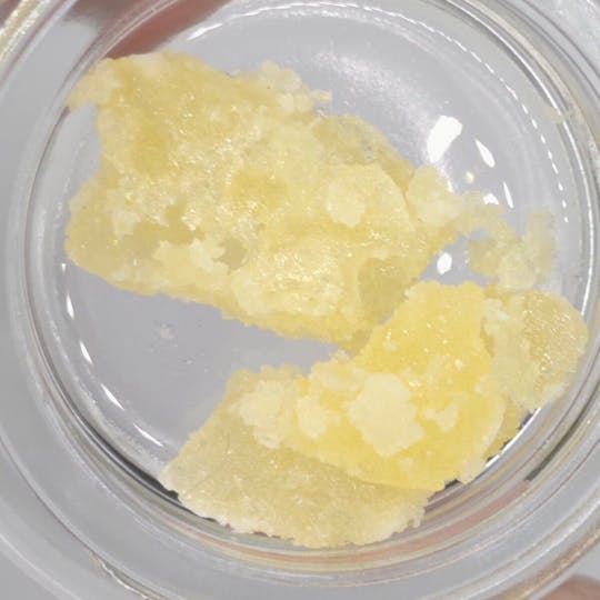 Fireweed Extracts - Lemon Cake Terp Sugar - 0.5g - 1