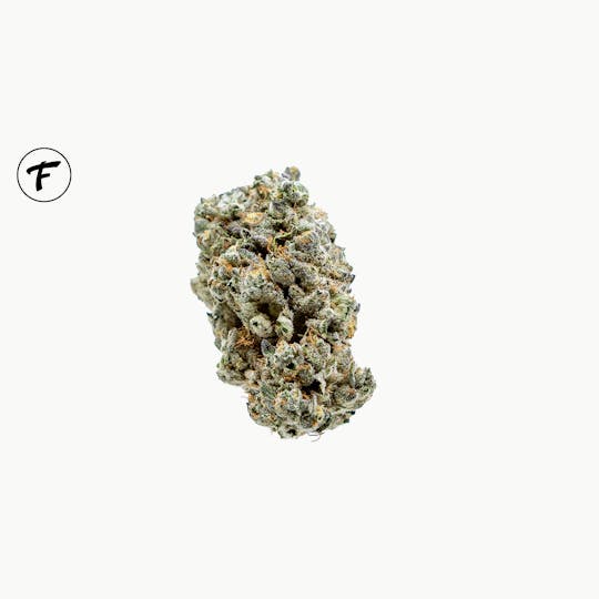 Forte Cannabis - El Camino - 1