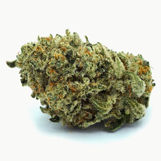 High Tide Organics - Cereal Milk | Indoor 3.5g - 1