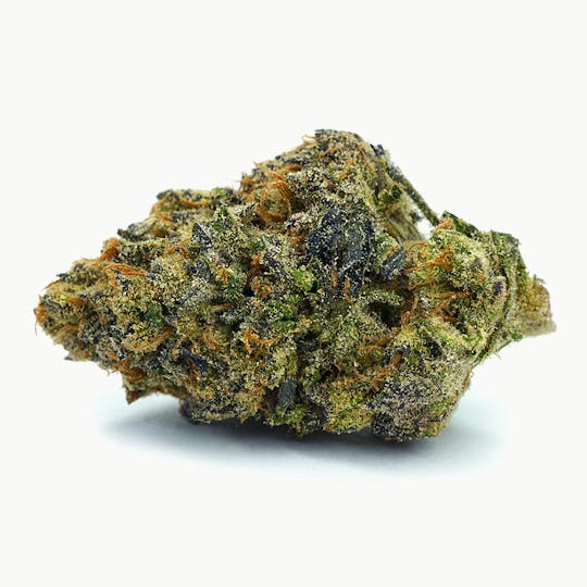 High Tide Organics - Blue Nerdz | Greenhouse 3.5g - 1