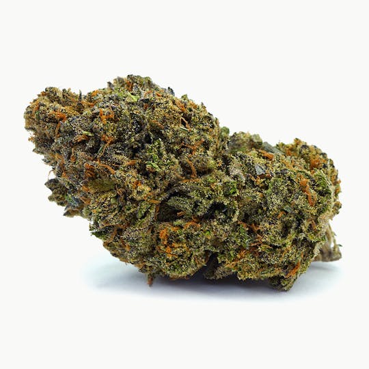 High Tide Organics - Cherry Lemonade | Greenhouse 3.5g - 1
