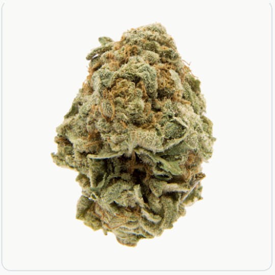 TYSON 2.0 - Purple Punch 3.5g - 1
