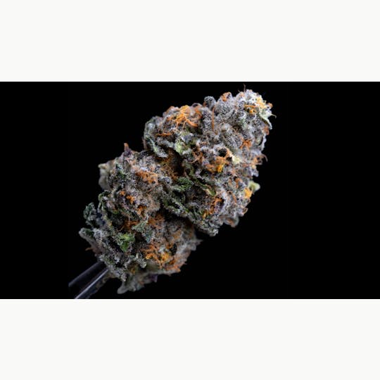 Allure - Permanent Marker | Exotic Indoor Indica | 36.72% THC - 1