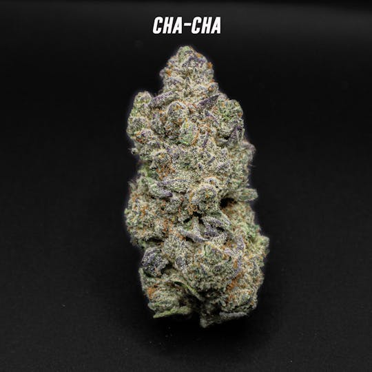 Good Trees - Cha Cha 1/4 oz - 1