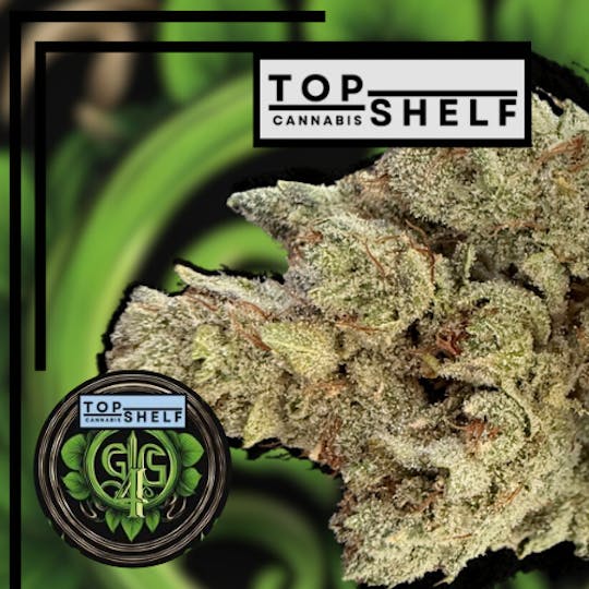 Magnum Weed - Top Shelf GG4 - 1