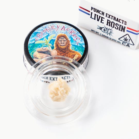 Punch Edibles & Extracts - Strawberry OGZ Tier 2 Live Rosin Cold Cure Badder (1g) - 1