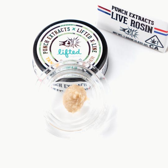 Punch Edibles & Extracts - Tangie Mints Tier 4 Live Rosin Cold Cure Badder (1g) - 1