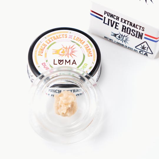 Punch Edibles & Extracts - Durban Lime Tier 2 Live Rosin Cold Cure Badder (1g) - 1