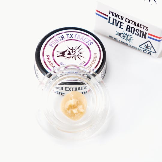 Punch Edibles & Extracts - Pharaoh Amarelo Tier 3 Live Rosin Cold Cure Badder (1g) - 1
