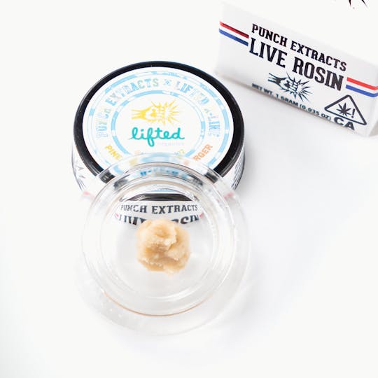 Punch Edibles & Extracts - Pineapple Tangie Burger Tier 4 Live Rosin Cold Cure Badder (1g) - 1
