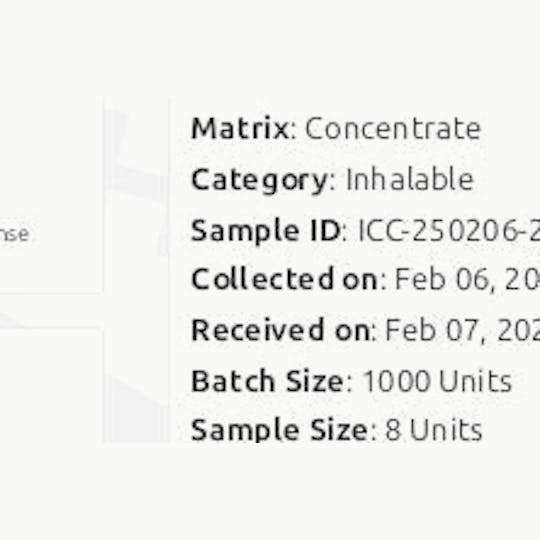 WVY - Carribean Cookies - 1