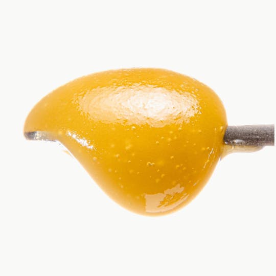 Terp Valley Farms - Sour Donutz Live Badder - 1