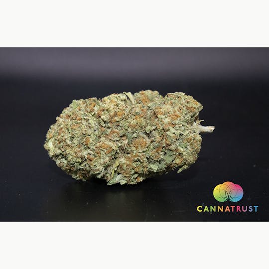 Trusty Transportations - Gelato 1 Gram(30%THC, Indica) - 1