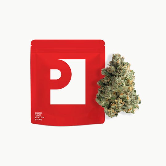 Preferred Gardens - Orange Crush Premium Flower (New York) - 1