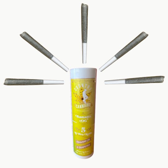 Country Cannabis - Banana OG | Infused Pre-Roll | 1G | 5pk - 1