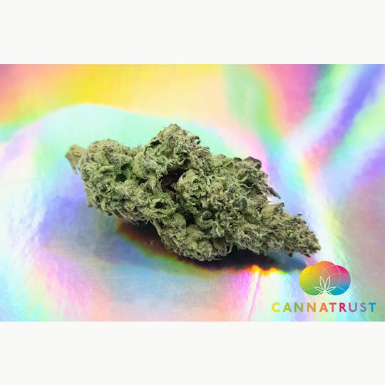 Trusty Transportations - Durban Gushers 1 Gram(32%THC, Sativa) - 1