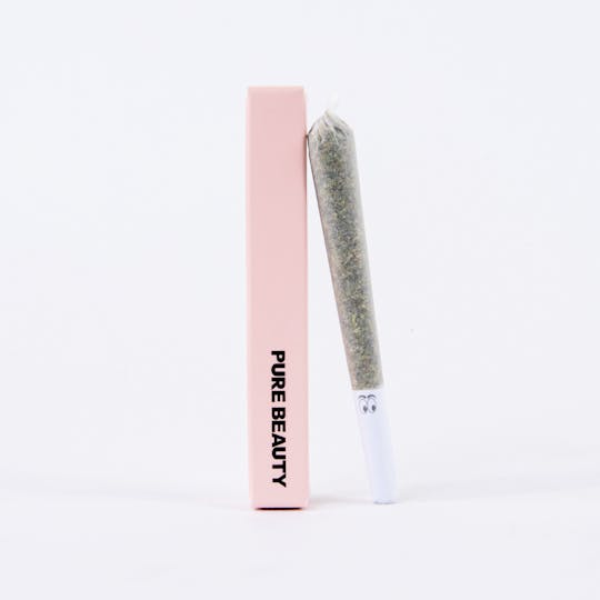 Pure Beauty - Canal St Runtz | Single (1g) Pre-Roll | 100% Indoor Flower - 1