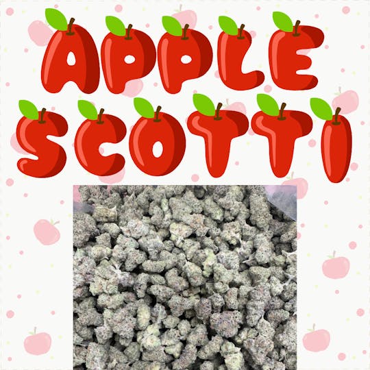 SUPPLY LA - Apple Scotti | Indoor Smalls - 1