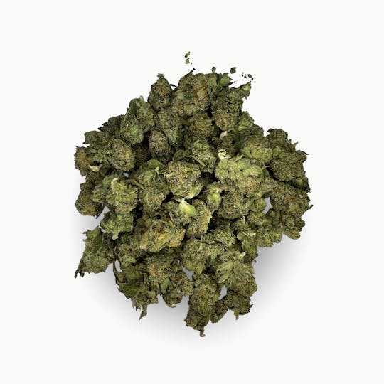 Indico - Ice Cream Zoap (Smalls) $100oz - Fluid - 1