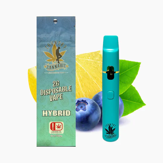 Blueberry Lemonade | Vape | 2G