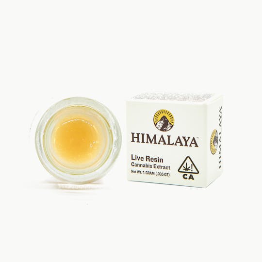 HIMALAYA - Saffron - Live Resin Concentrate - 1G - 1