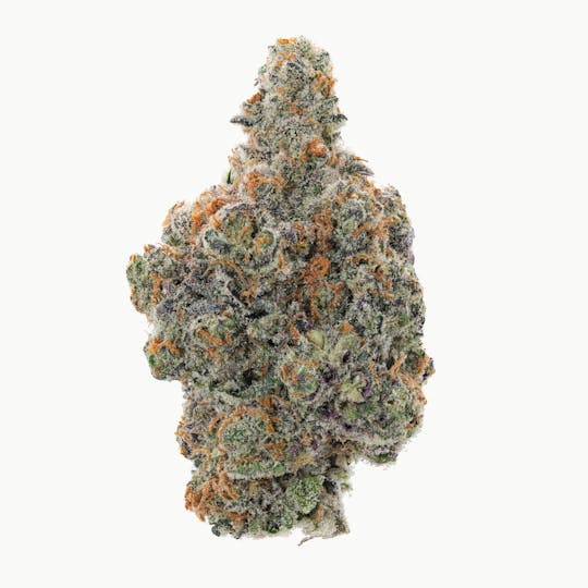 Allure - Black Truffle - 1