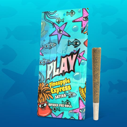 Play Michigan - Play | Pineapple Express | 1.2g | Infused Pre-Roll - 1