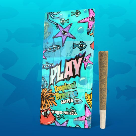 Play Michigan - Play | Tropical Breeze | 1.2g | Infused Pre-Roll - 1