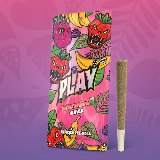 Play Michigan - Play | Watermelon Z | 1.2g | Infused Pre-Roll - 1