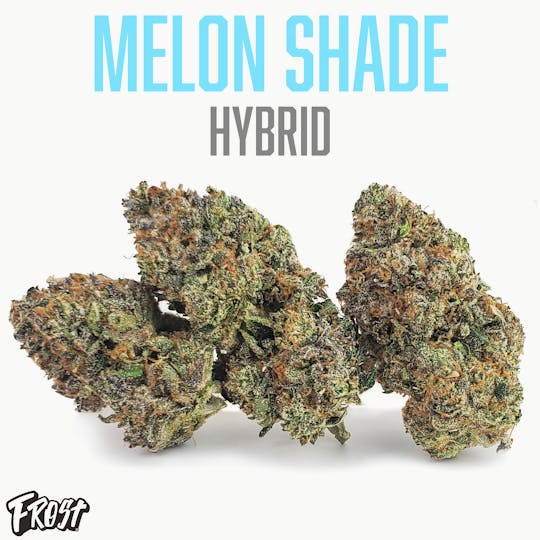 Frost - Melon Shade 3.5g - 1