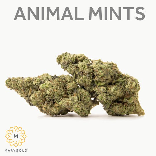Marygold - Animal Mints 3.5g - 1