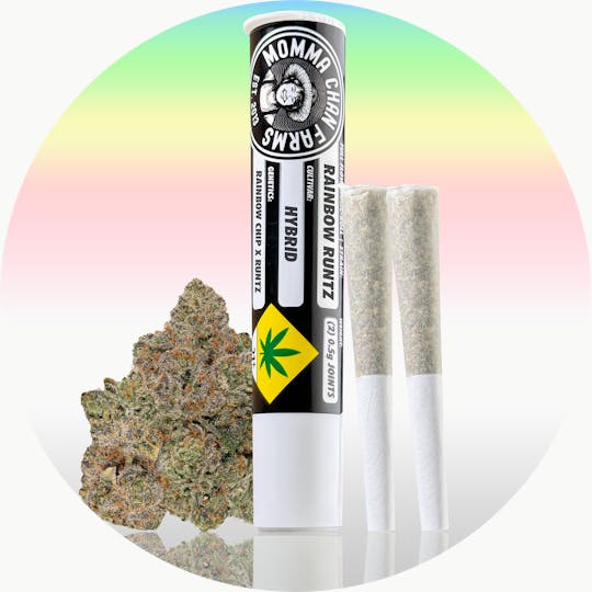 Momma Chan Farms - Rainbow Runtz - Joint 0.5G 2pk - 1
