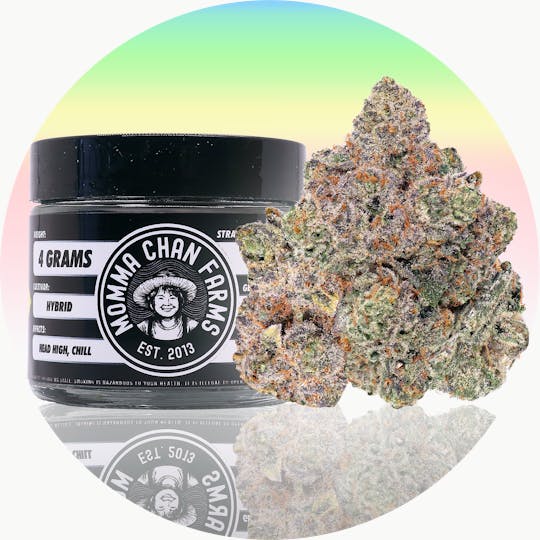 Momma Chan Farms - Rainbow Runtz - 1