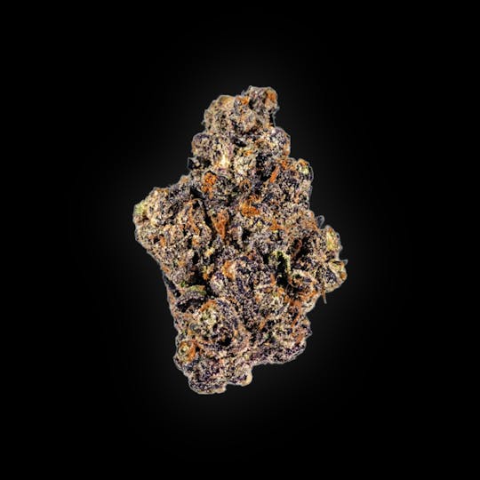 Auraz - Premium Flower | Sherb Cream Pie - 1