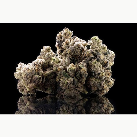 Pearl Pharma - Sour Cheese - 1