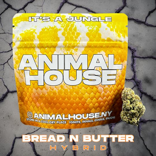 Animal House - Bread N Butter | Flower | 3.5g - 1