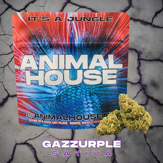 Animal House - Gazzurple | Flower | 3.5g - 1