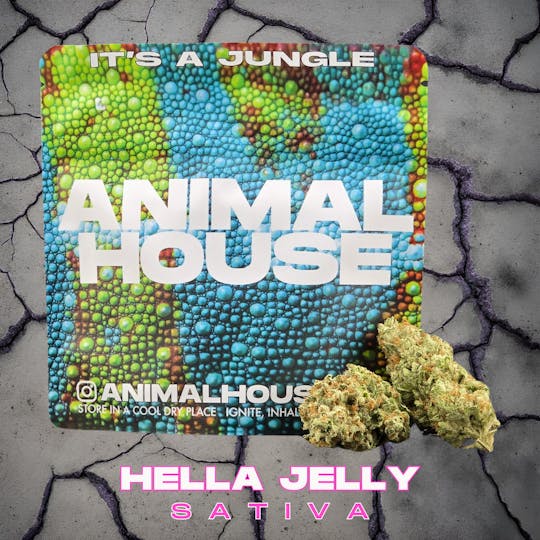 Animal House - Hella Jelly | Flower | 3.5g - 1