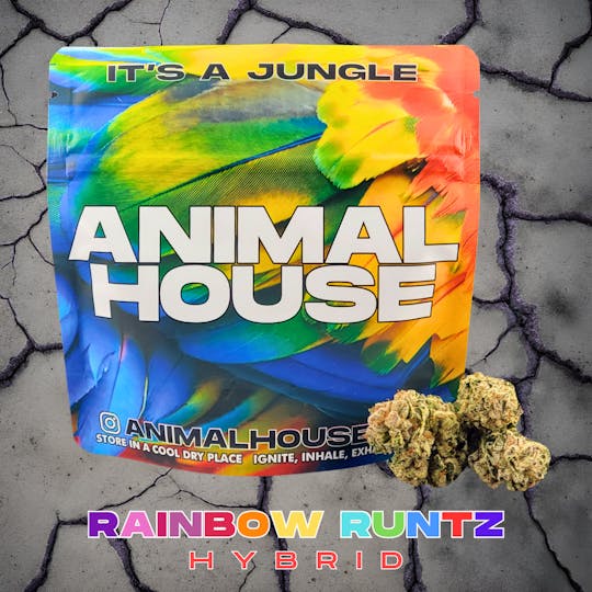 Animal House - Rainbow Runtz | Flower | 3.5g - 1
