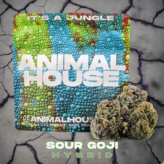 Animal House - Sour Goji | Flower | 3.5g - 1