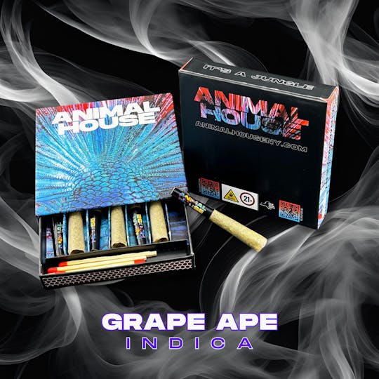 Animal House - Grape Ape | Kief Infused Preroll | 7pk x 0.5g (3.5g) - 1