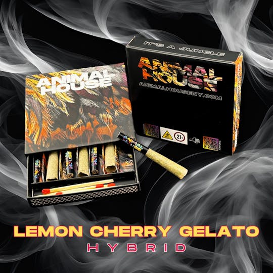 Animal House - Lemon Cherry Gelato | Kief Infused Preroll | 7pk x 0.5g (3.5g) - 1