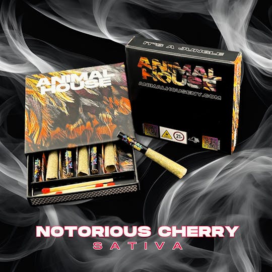 Animal House - Notorious Cherry | Kief Infused Preroll | 7pk x 0.5g (3.5g) - 1