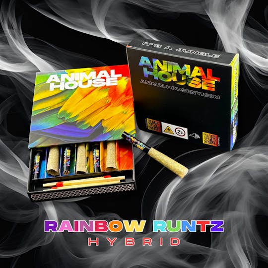 Animal House - Rainbow Runtz | Kief Infused Preroll | 7pk x 0.5g (3.5g) - 1