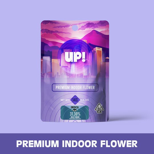 UP! - Jelly Bean (Hybrid) Premium Indoor 14g - 1