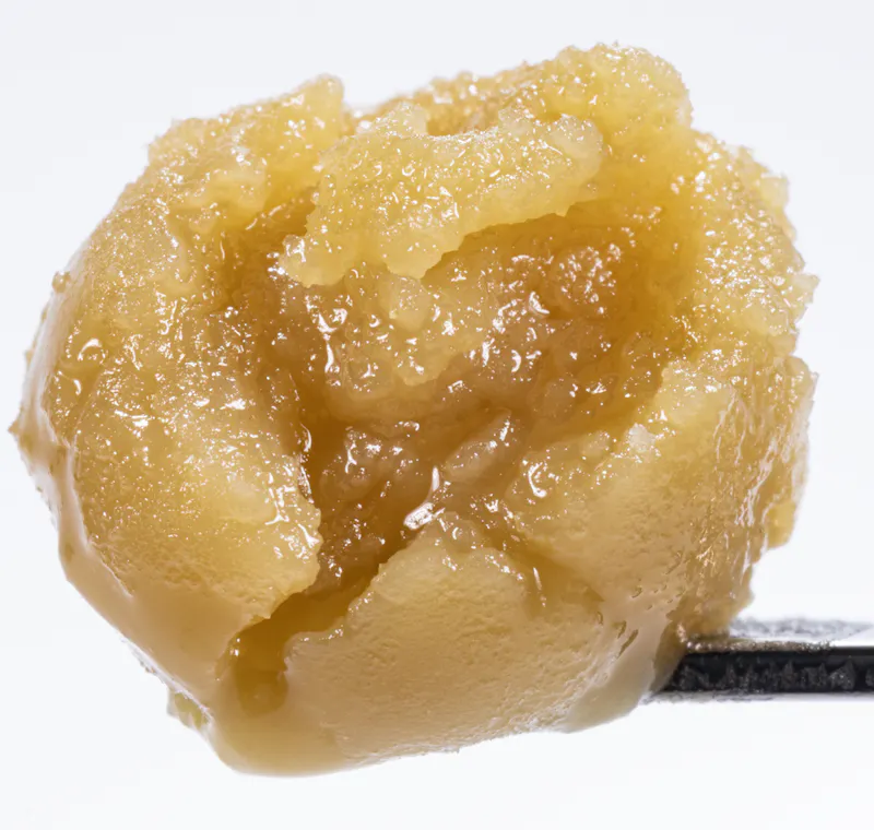 West Coast Cure Garlic Juice Live Rosin Cold Cure Badder - T3