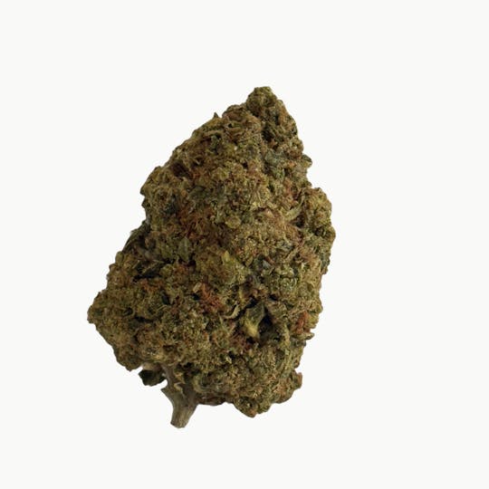 Stingers - Orange Funk - 14 gram - 1