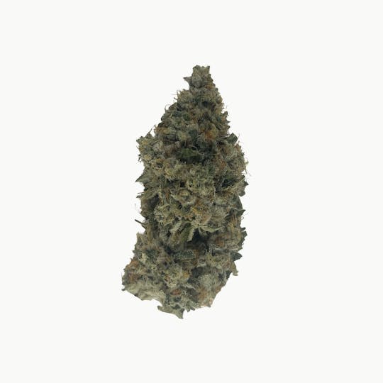 Indico - TKS $100oz - Indico - 1