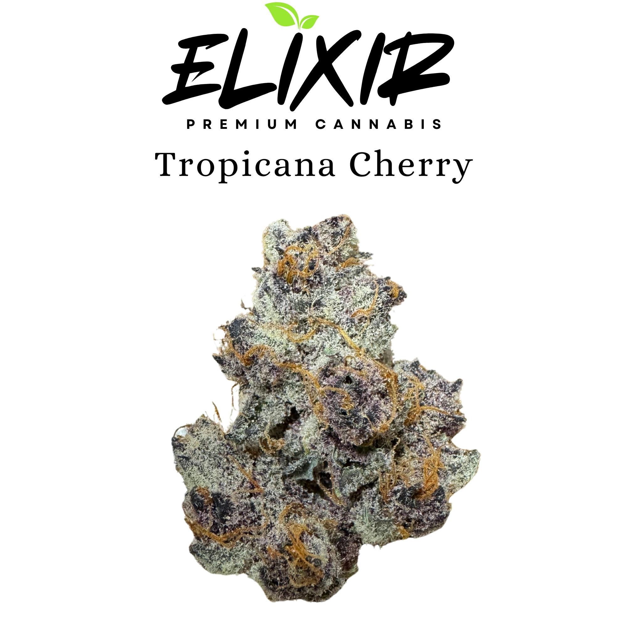 Elixir Extracts - Tropicana Cherry - Elixir - 1
